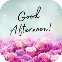 good afternoon